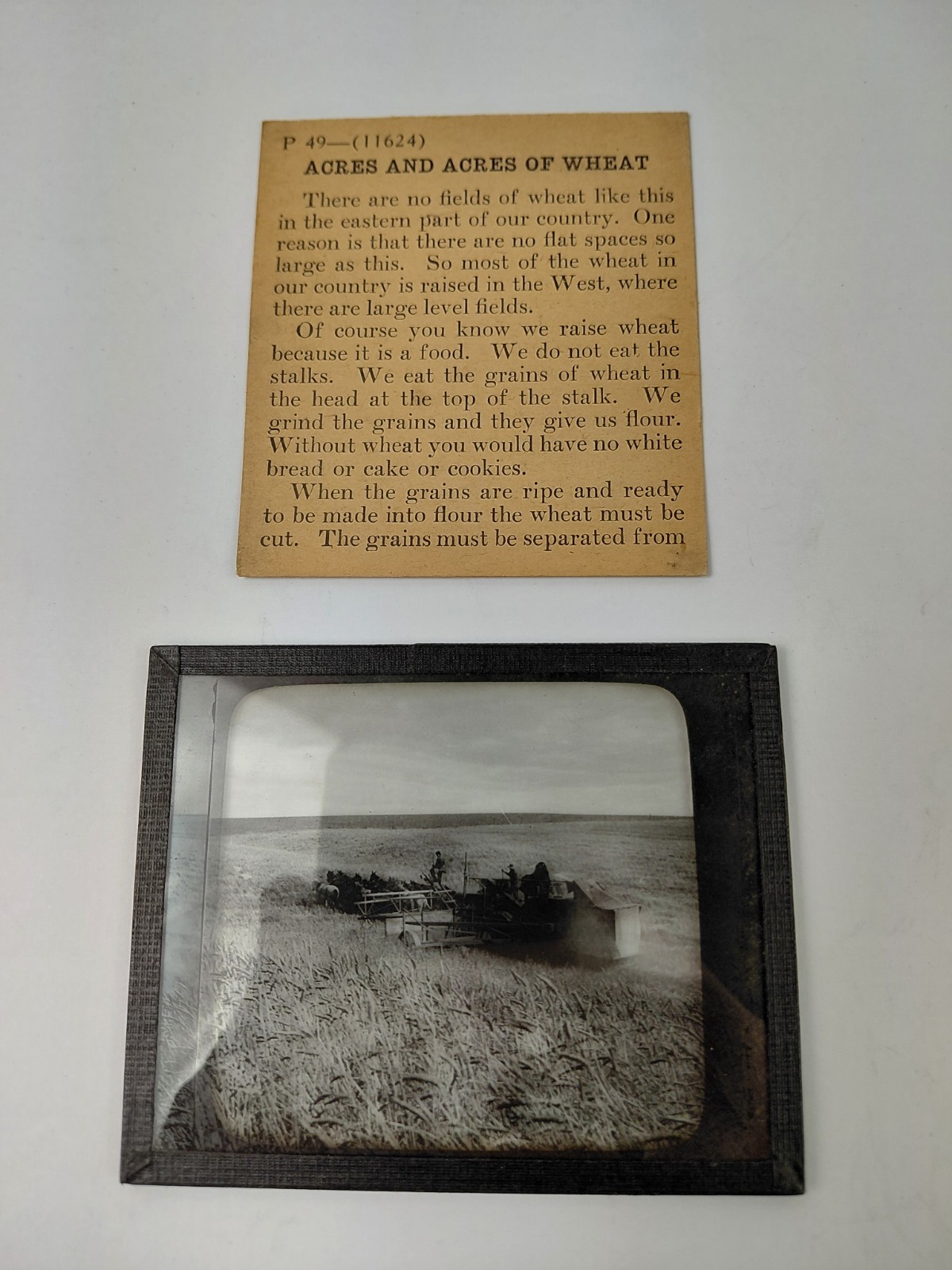 Magic Lantern Glass Slide Photo Keystone P49 Wheat Field, Washington