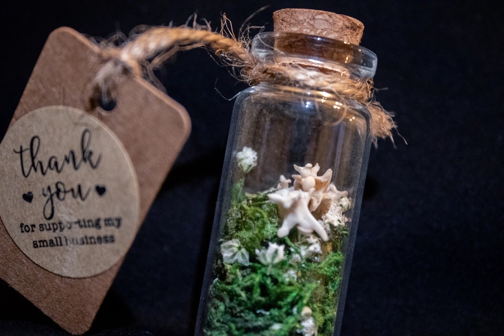 oddities weird stuff