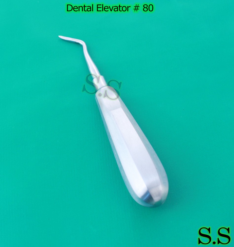 Dental Elevator # 80 Surgical Veterinary Instruments