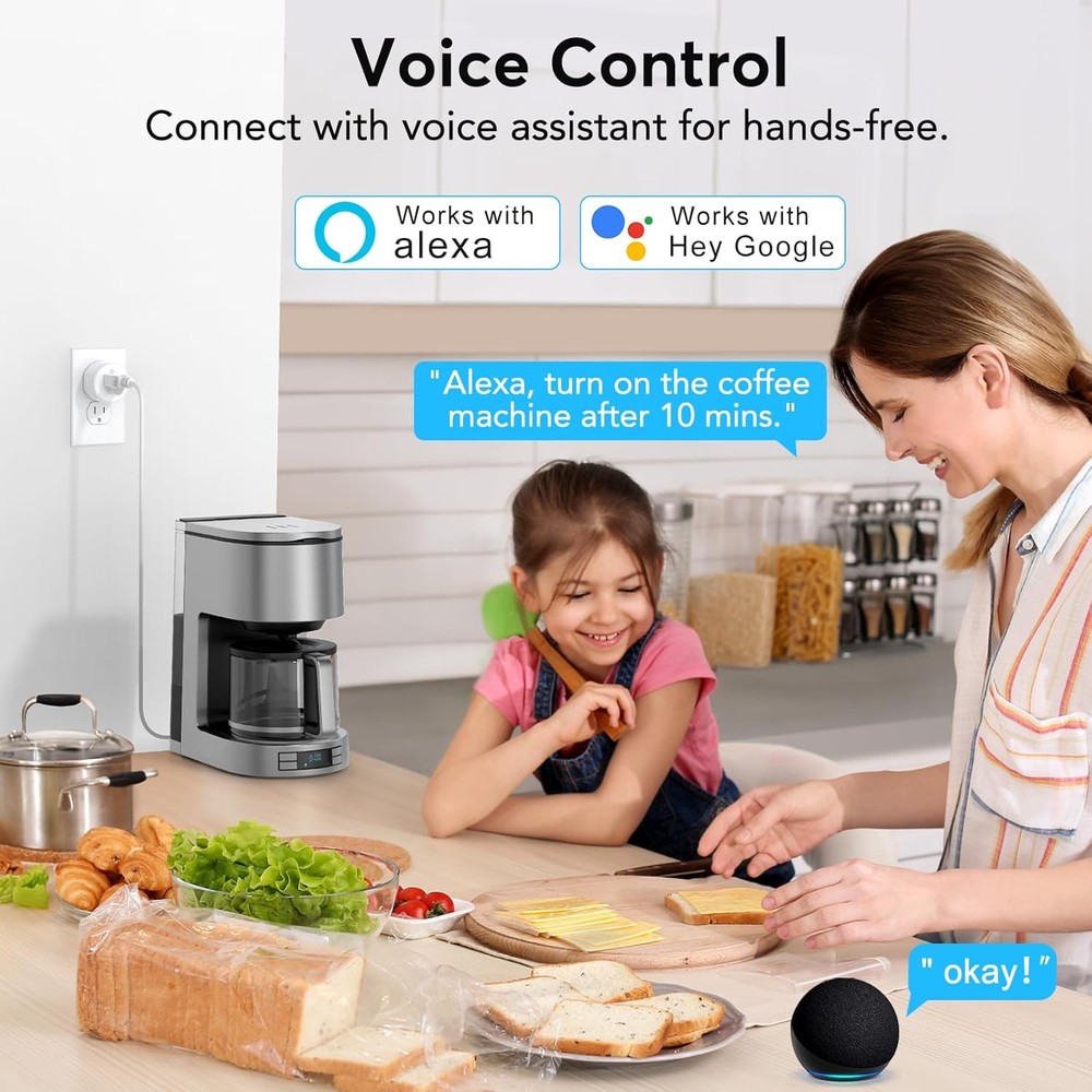 2 Pack Smart Plug, WiFi Outlet with Remote Control & Timer Function