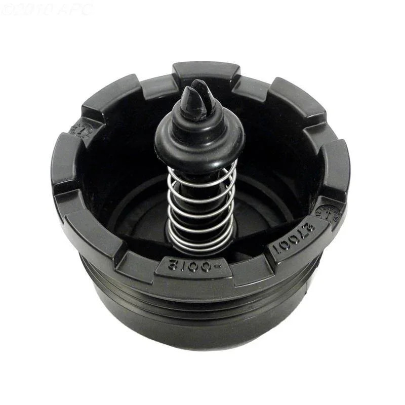 Spring check valve