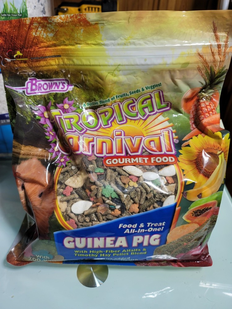 Guinea Pig Care Items