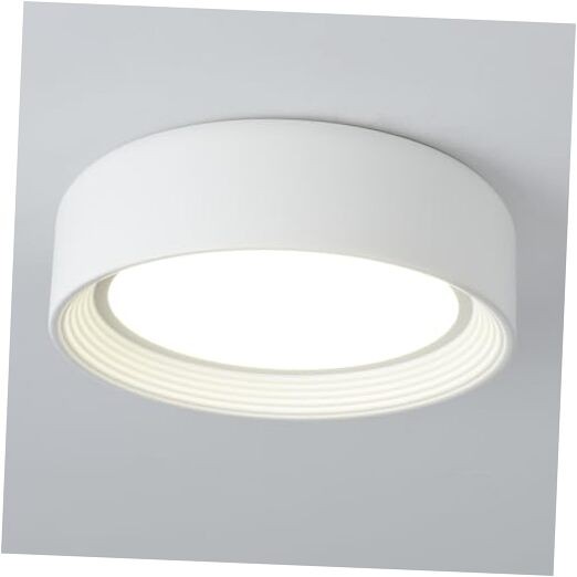 Dimmable Flush Mount Ceiling Light,24W LED Ceiling Dimmable 11.81 Inch White