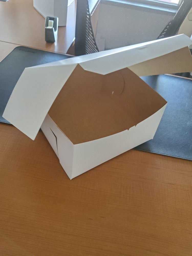 100 blank White Cardboard Cake Box 10x10x5