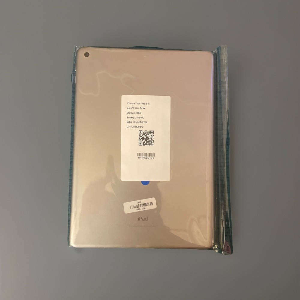 Apple - Certified Fully functional iPad (5th Generation) (2017) Wi-Fi -32GB Gray
