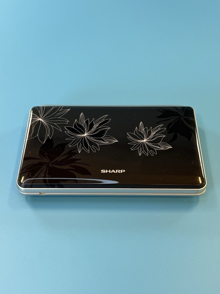 Sharp RD-CT40 Korean English Electronic Dictionary. PLEASE READ