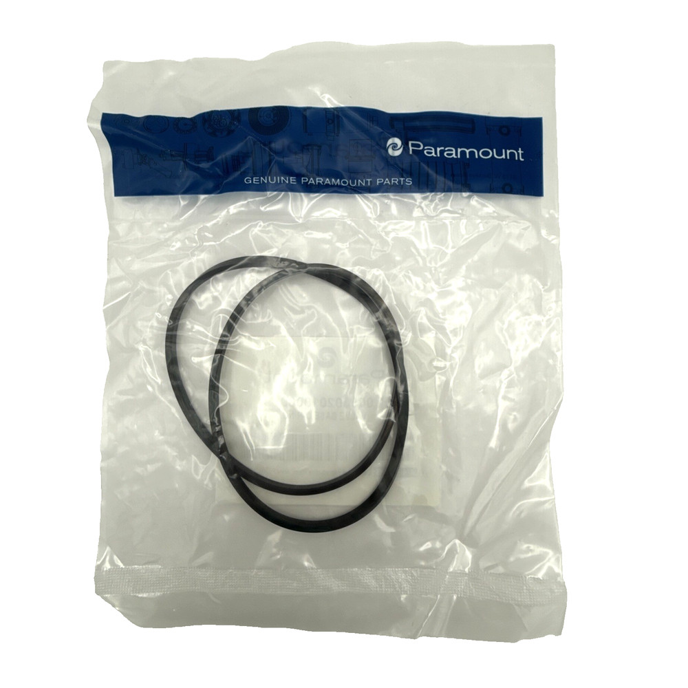 Paramount ORIGINAL Pool Valve Module Base O-Ring, #005302010000
