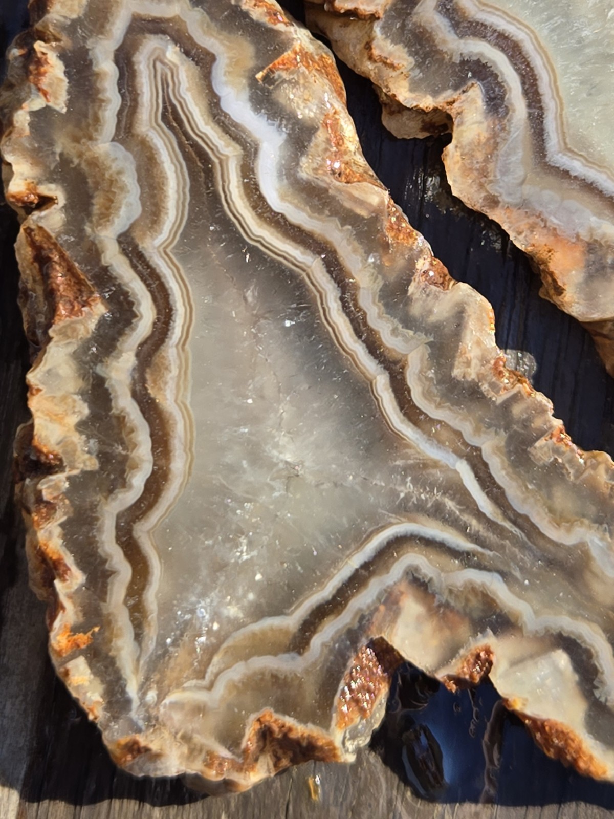 Turkish Agate Slabs Slices From One Stone Matching Lapidary Unique