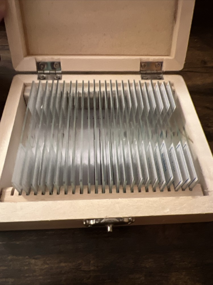 AmScope PS25W Prepared Slides Wood Box 24/25 1 Missing