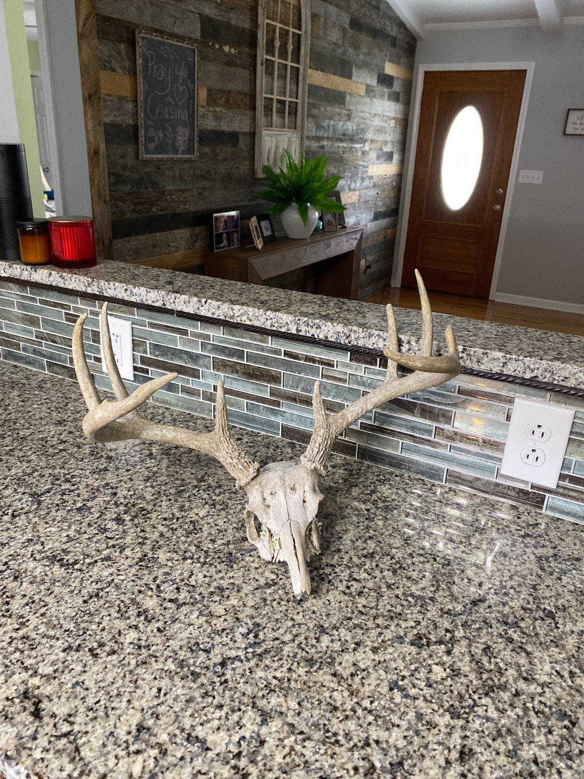 Wild 9 Point Whitetail Deer Antler Rack Horn Skull Decor Man Cave Cabin Decor