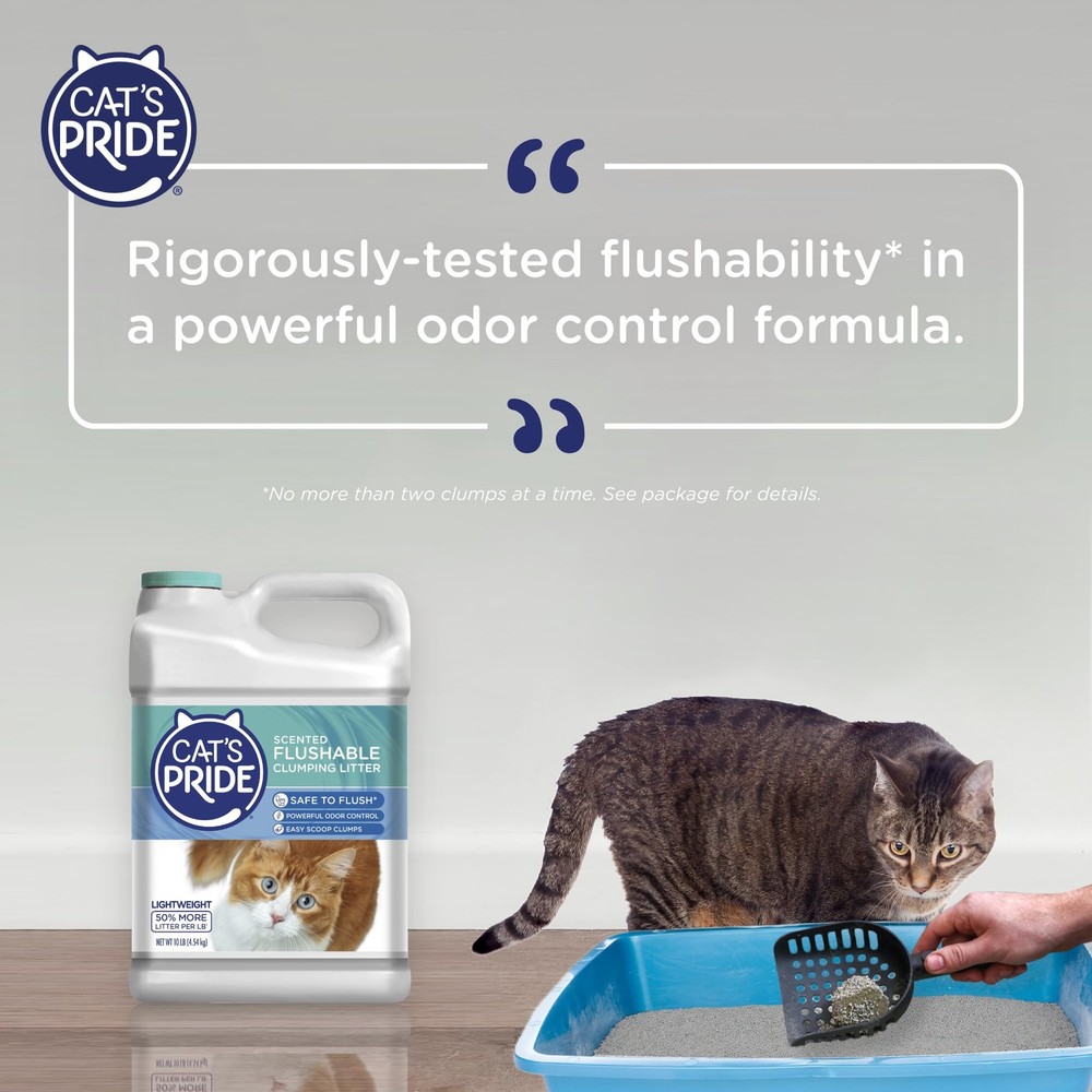Flushable Clumping Cat Litter - Powerful Odor Control, Scented, 10 lbs