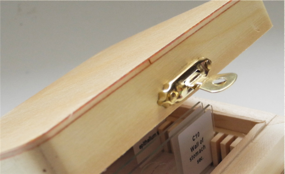 Microscope Slide Storage Wooden Box Specimen Holding Storage Case with Lock