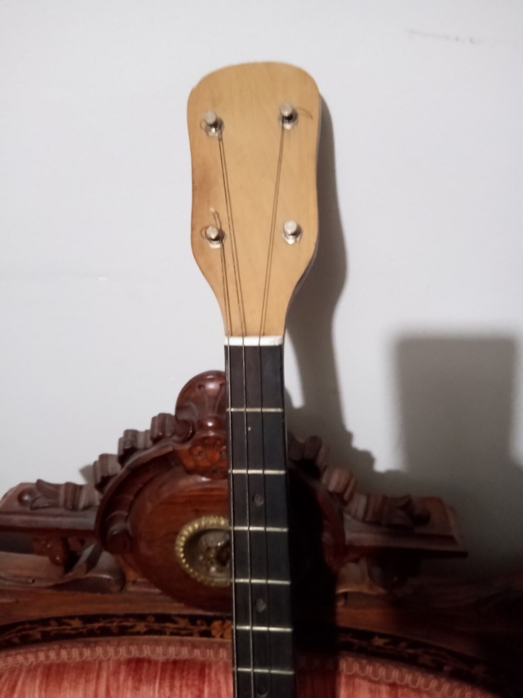 Open Back Tenor Banjo Four Strings