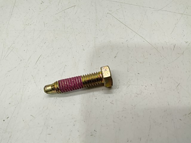 Screw - 2000 Polaris NOS