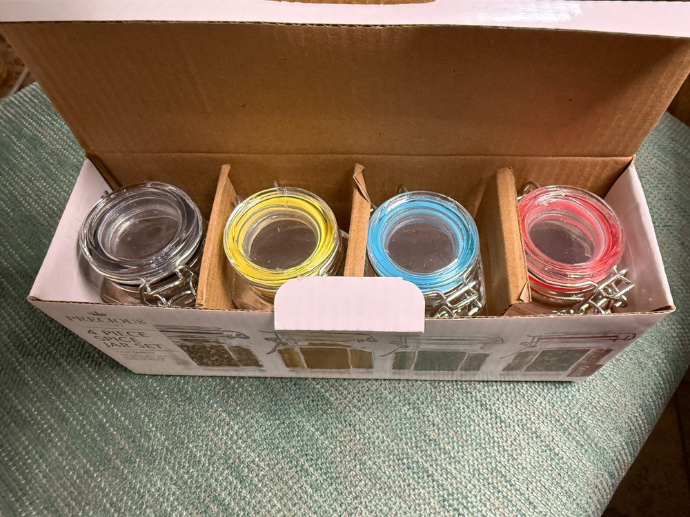 Precious Home 4 Piece spice jars New