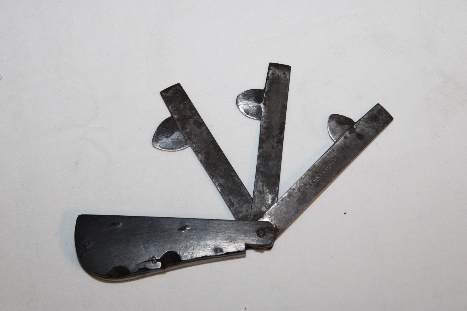 Antique 3 Blade Blood Letting Fleam Tool Marked G. Gregory