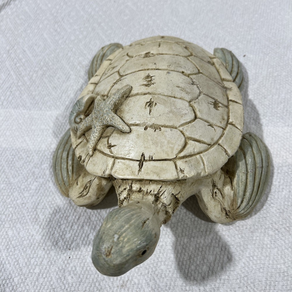 Sea Turtle Decor B1