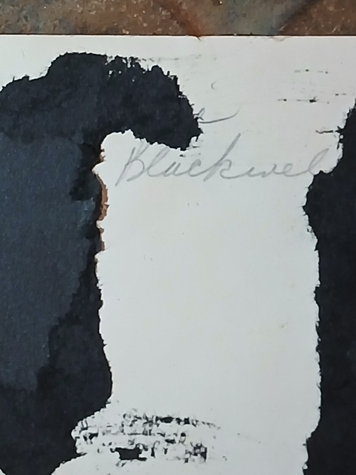 hbcu college* Rare Virginia State University * Cheerleader