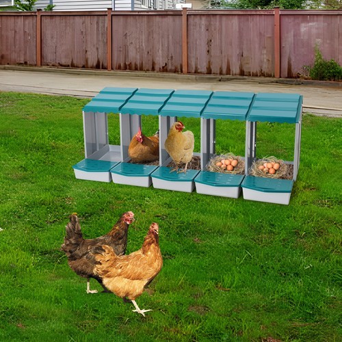 Chicken Laying Box Modern 5-Compartment Chicken Nesting Box with Egg Collection