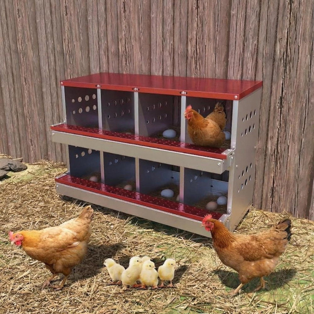 Metal Chicken Nesting Box for Laying Eggs Rustproof Wall-mountable Laying Boxes