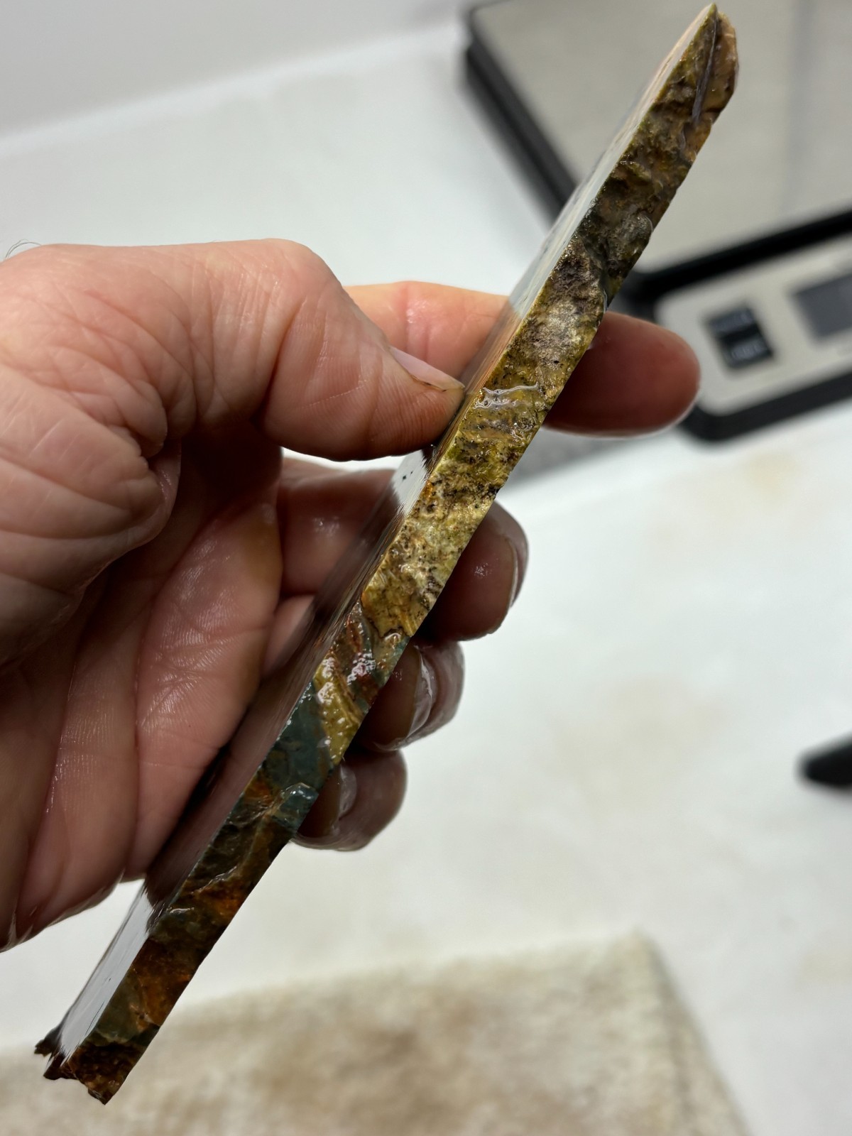 Gary Green Caldera Freedom Jasper Slab Cabbing Lapidary Combo Ship Avail