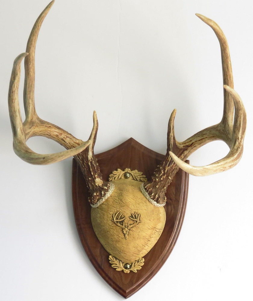 TTW Ultimate Antler Mounting Kit - Black Walnut