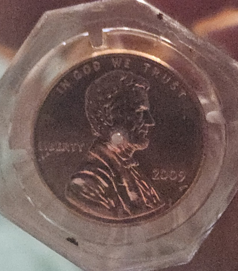 2009-P Lincoln Cent INAUGURAL EDITION ANACS - MS65 RD or Better - Hard Case