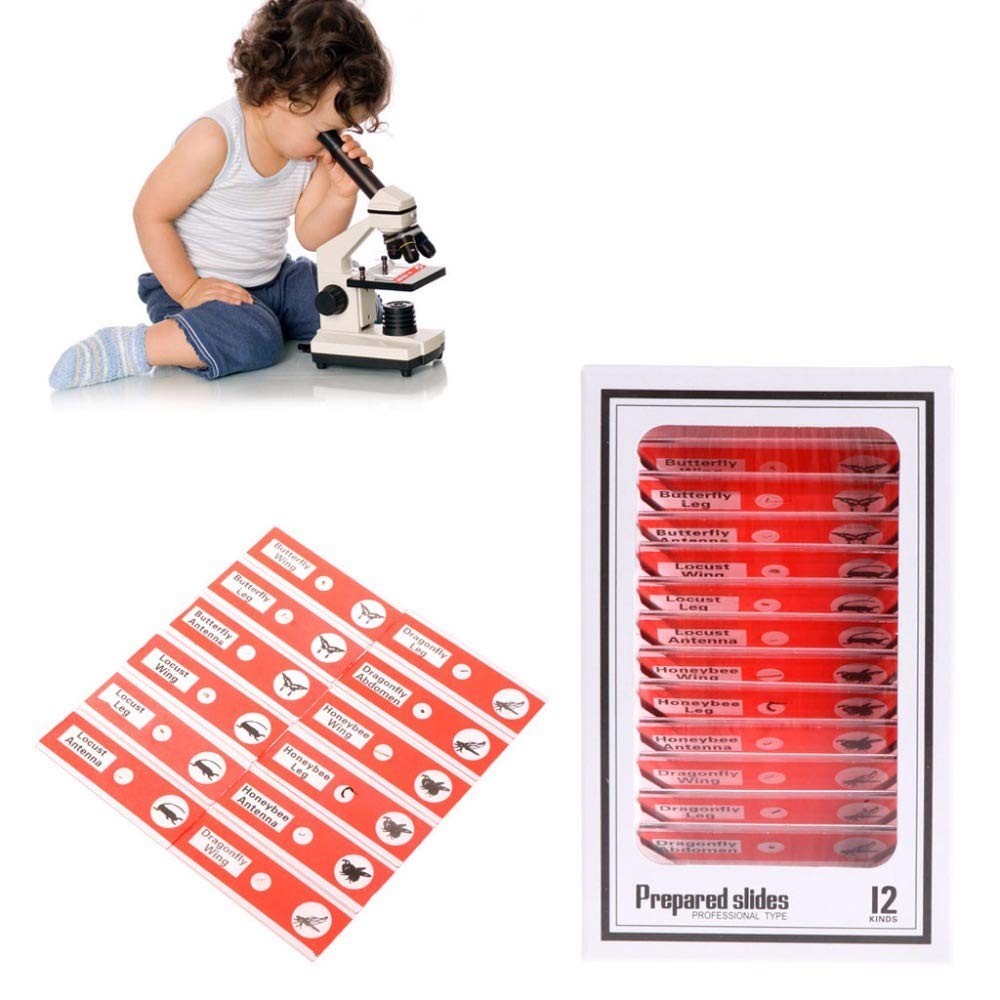 Prepared Microscope Slides for Kids, 48pcs Plastic Animals Insects Plants