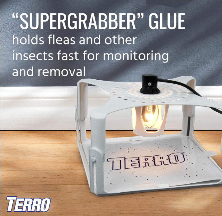 TERRO T231 Flea Trap Refills - Replacement Flea Trap Glue Boards,White, 3 Count