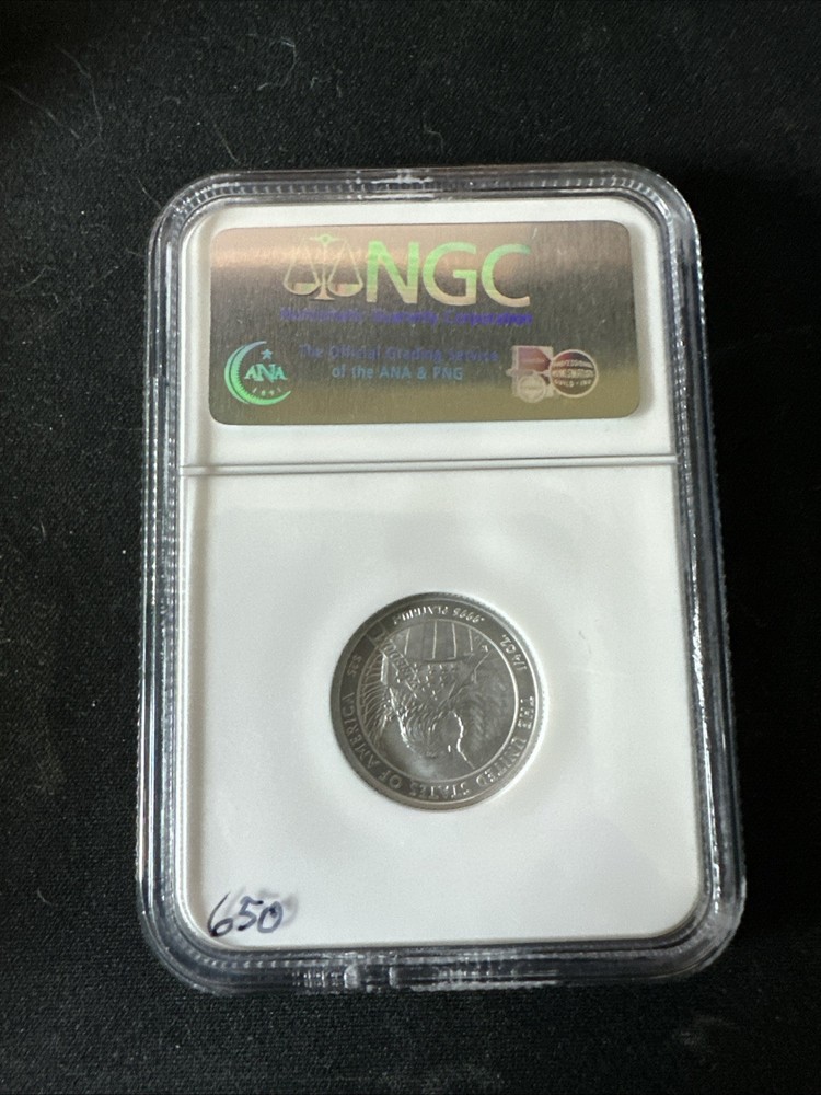 2007 W EAGLE BURNISHED PLATINUM EAGLE EARLY RELEASES P$25 MS70