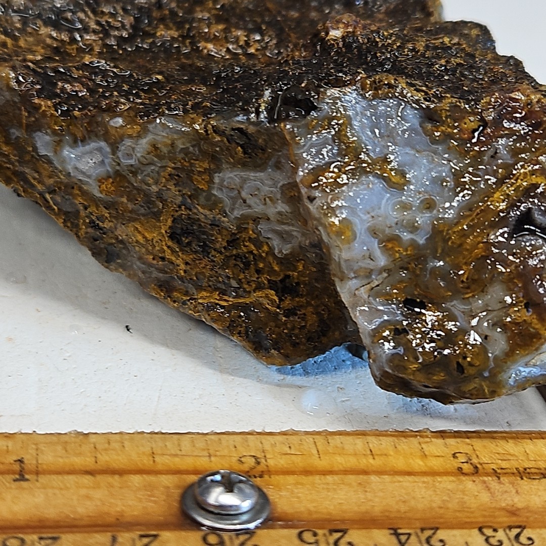 Agua Nueva agate rough. Beautiful light blue banded agate, with drusy 1LB 1.6oz.