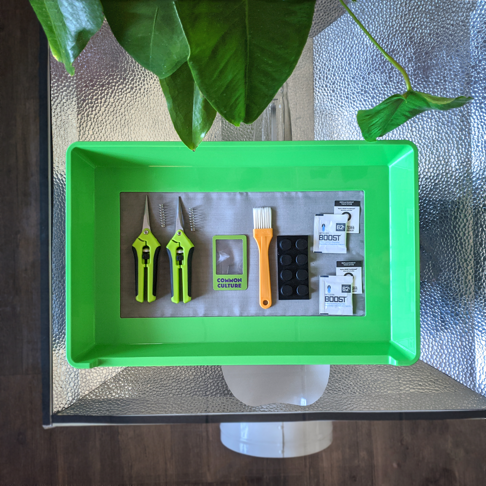 COMMON CULTURE Trimming Tray XL Heavy-Duty 2-in-1 Herb Sifter