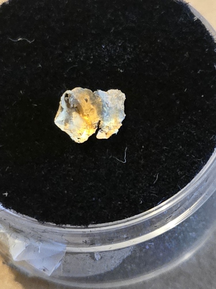 Beautiful Ibex Colorado Gold specimen
