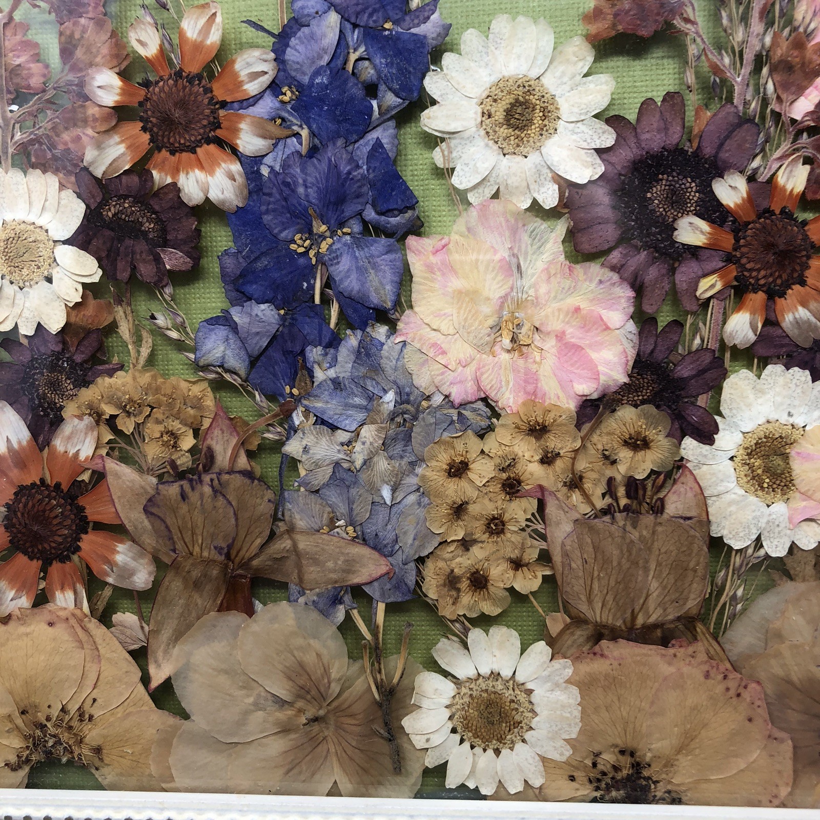 Framed Pressed Flowers Distressed Frame 12.5" x 10.5" Cottagecore Country Chic