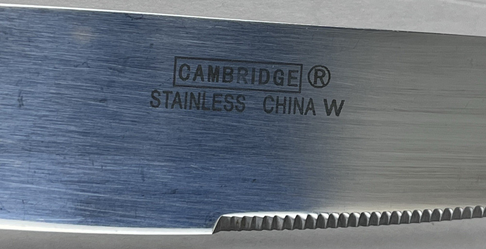 Cambridge Silversmiths Elsa Mirror Hammered Flatware Stainles Knife Replacement