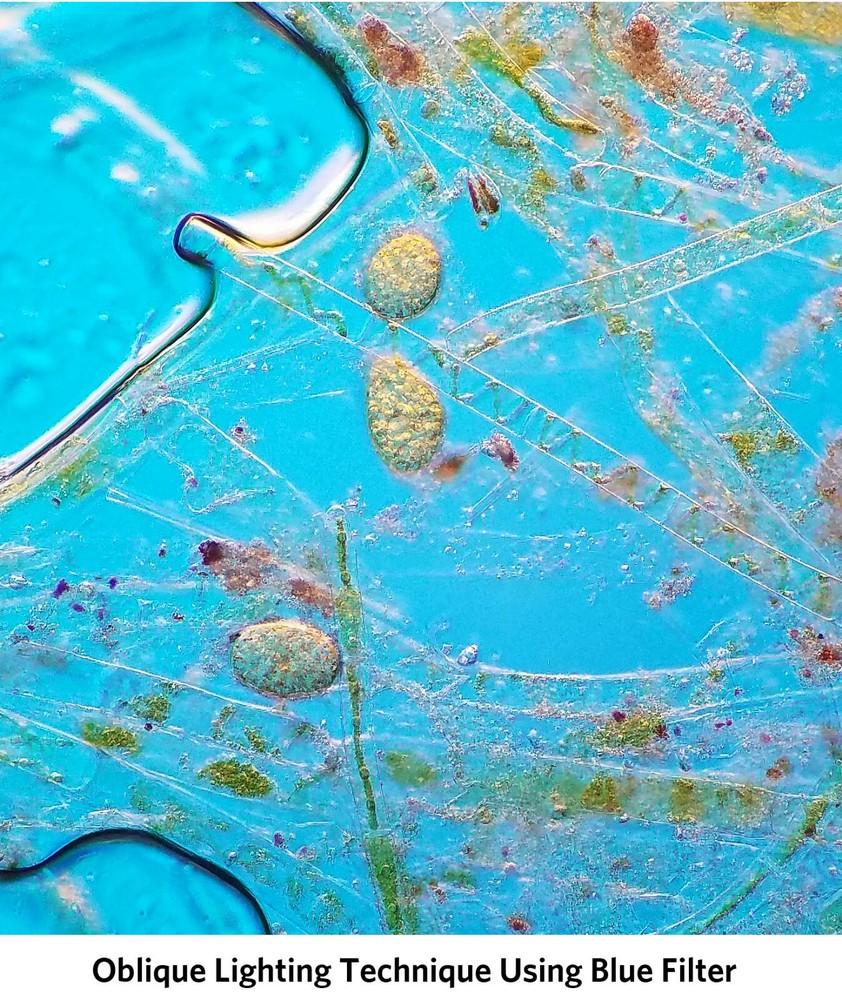 Sturdy Microscope Eyepiece Camera Adapter for Smartphone & iPhone