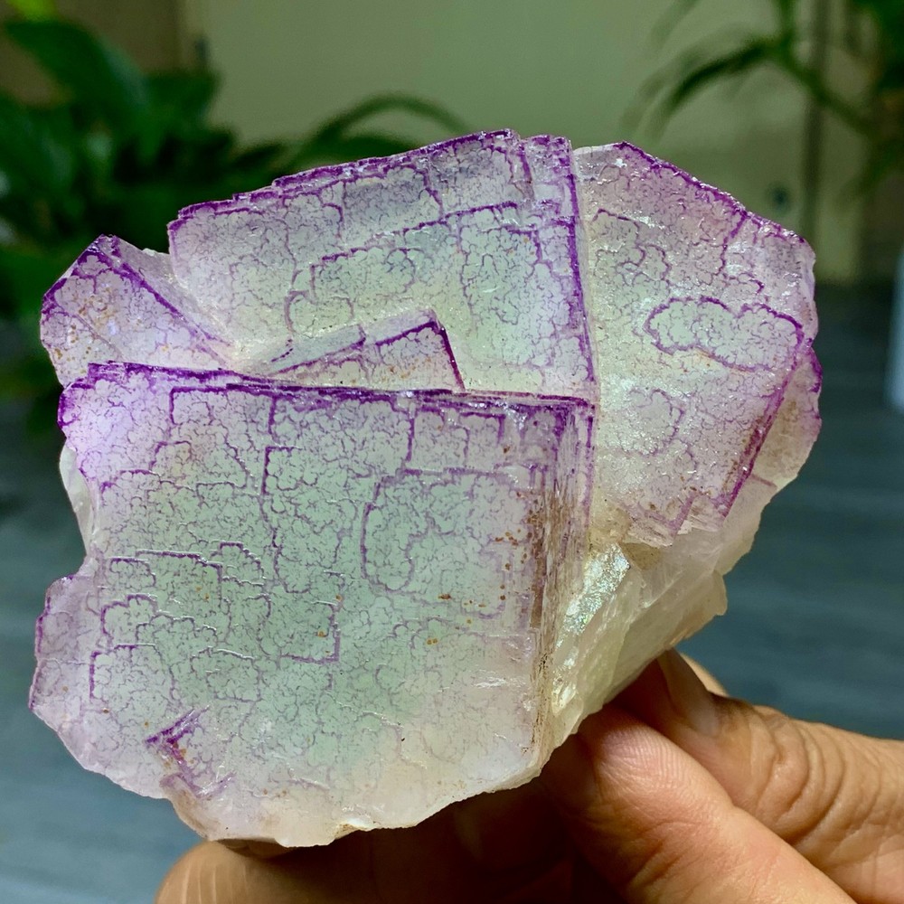 3 Code"Fluorite Cluster Crystal Mineral Specimen/Guizhou