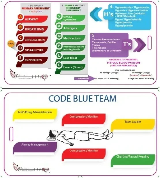 (Ultimate) - ACLS & PALS - Instructor Training Kit