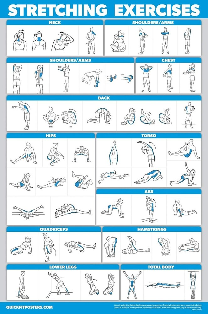 "QUICKFIT Stretching Workout Exercise Poster - Stretch Routine (Laminated, 18""