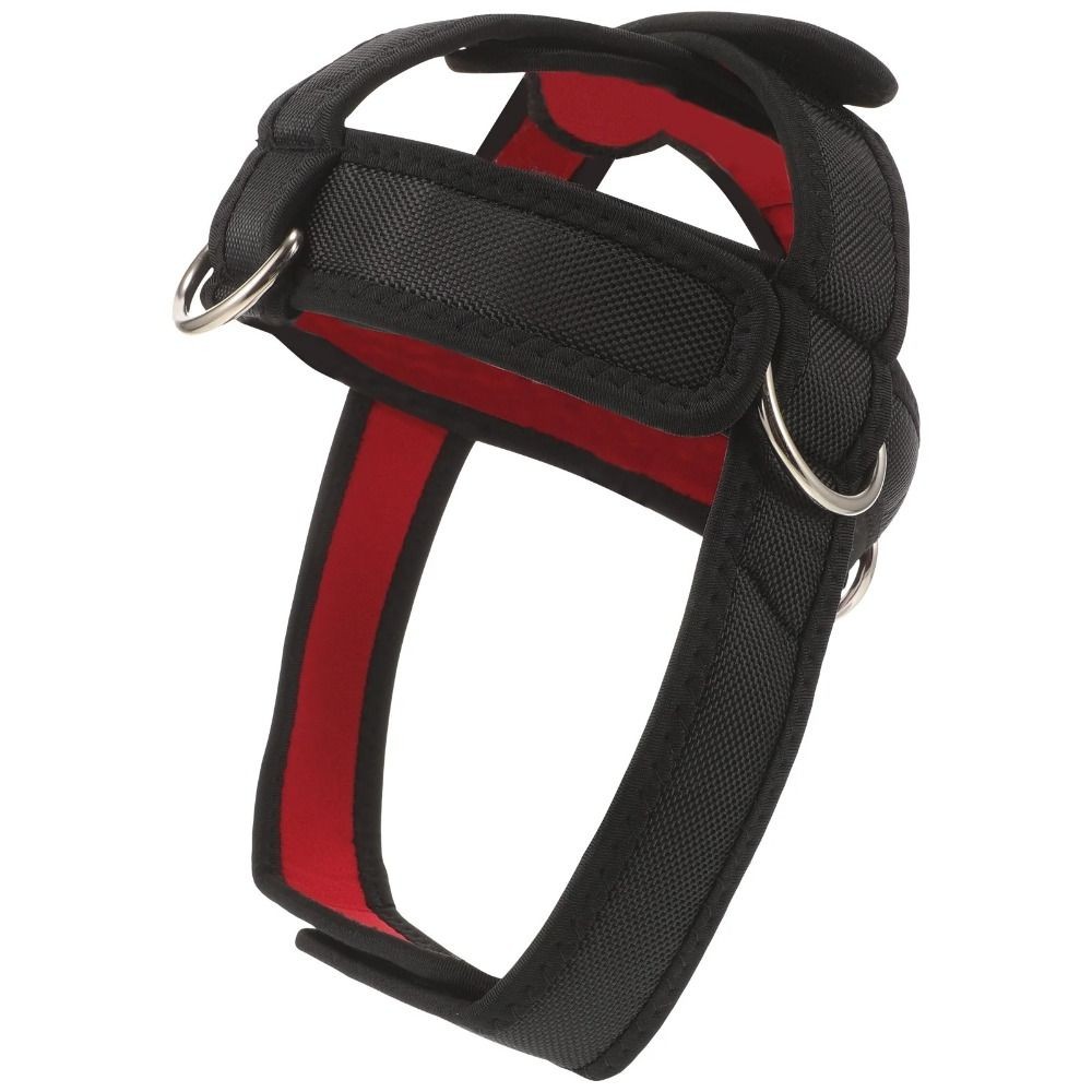 Head Harness Weight Lifting Neck Muscle Strength Training Exercise Practical US