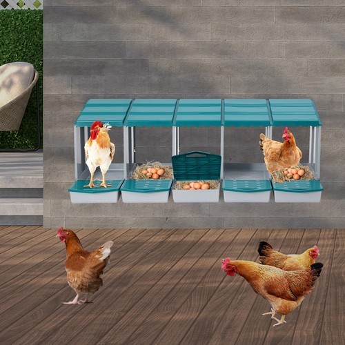 Chicken Laying Box Modern 5-Compartment Chicken Nesting Box with Egg Collection