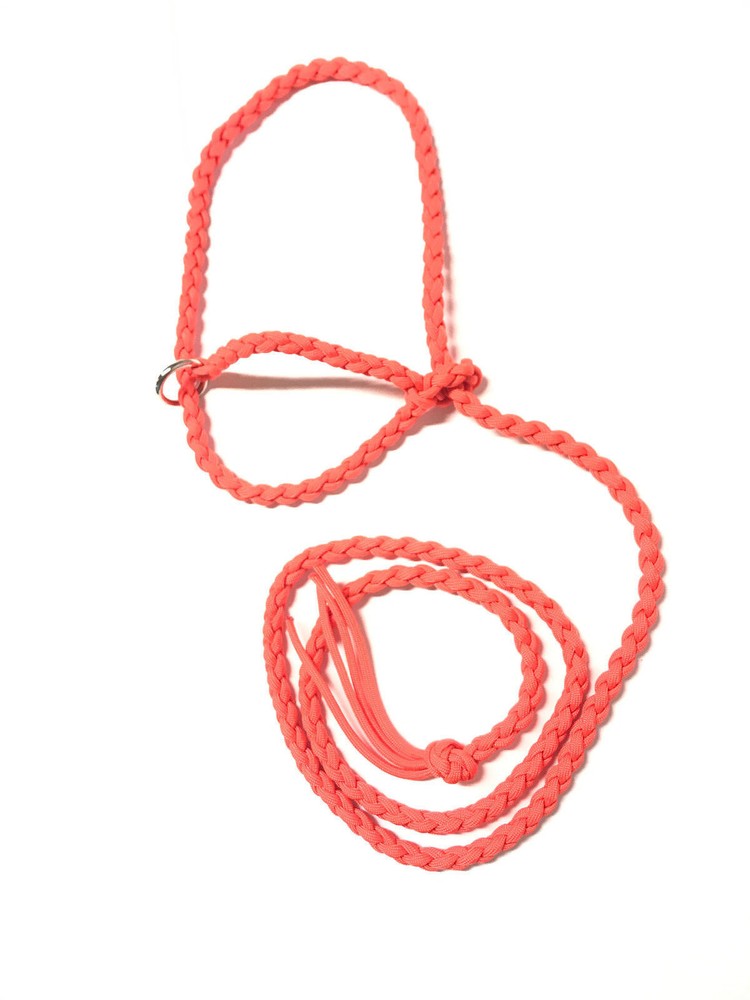 goat halter small livestock halter orange