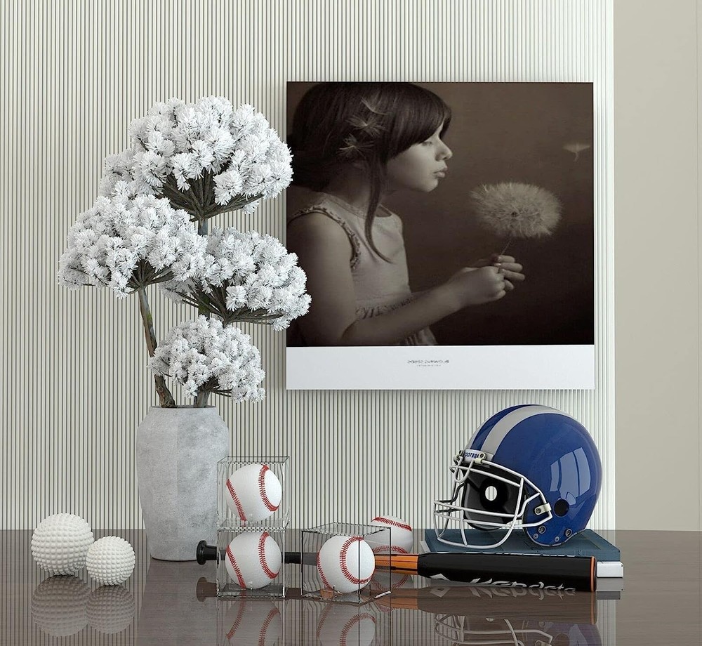 Baseball Display Case UV Protected Acrylic Clear Baseball Holder Square Cube ...
