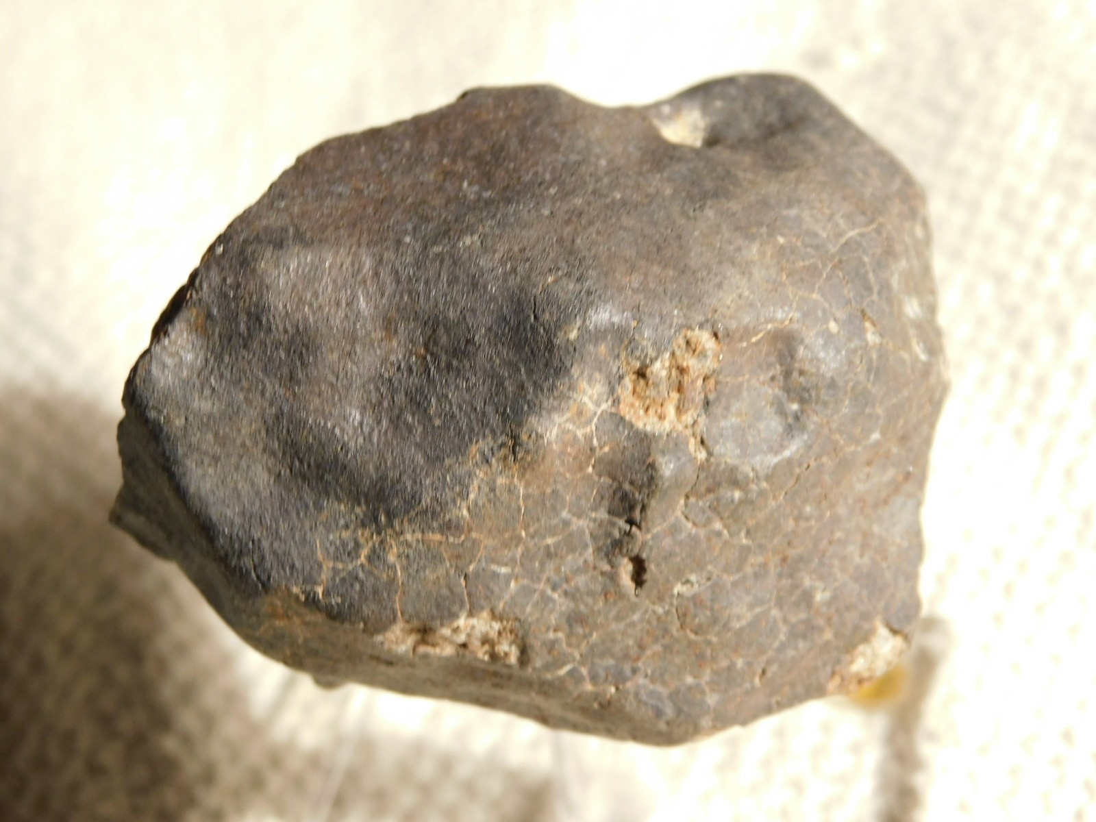 H6 Stony METEORITE Regmaglypts DARK Fusion Crust and Contraction CRACKS! 178gr