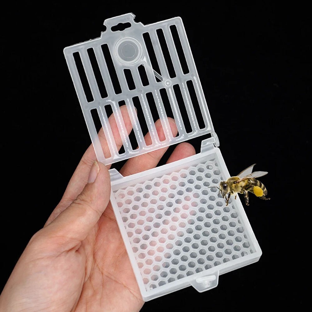5pc Queen Bee Post Cage Beekeeping Transport Queen Cages Move Transmit Mail Box