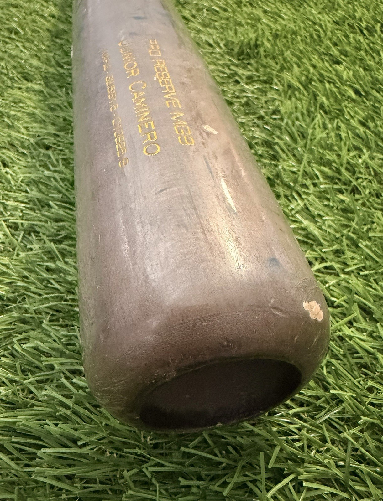 Junior Caminero 2025 Tampa Bay Rays Game-Used & Signed Bat GUG LOA