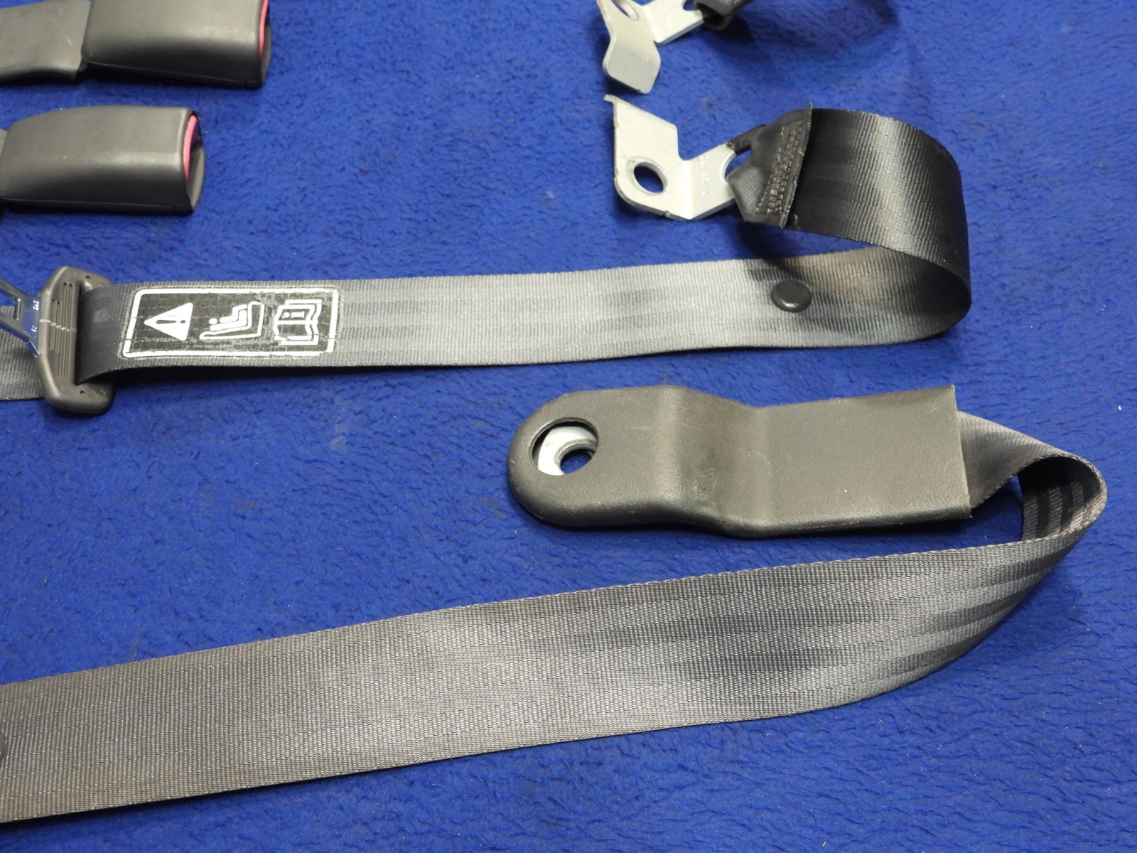 01 2001 Ford Mustang DK Charcoal Coupe Seatbelt Seatbelts OEM B64