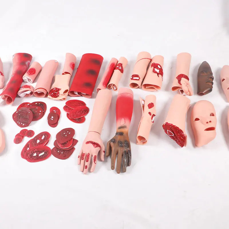 Trauma Evaluation Module Emergency Care Medical First Aid Simulation Model 16Pcs