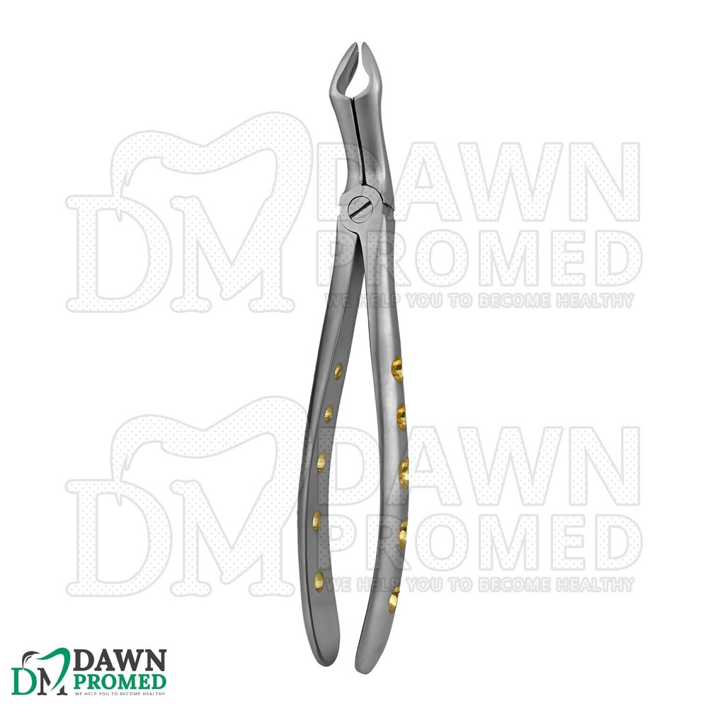 Dental Extracting Forceps #67A Gold Hollow Python Grip Handle German Grade