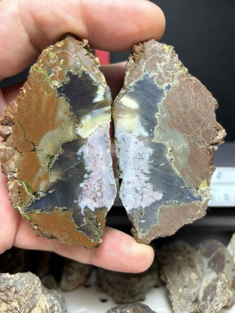 Thunder eggs /cut/3.16 Pounds